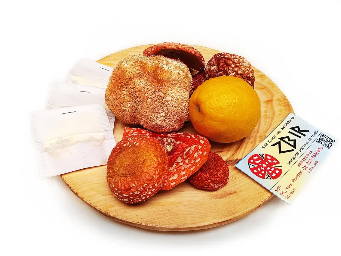 Чай з червоного мухомора та пантерного мухомора 5