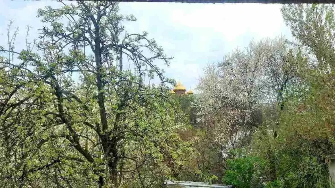 Власник. Ділянка правильної прямокутної форми, рельєф рівний. Загальн 2