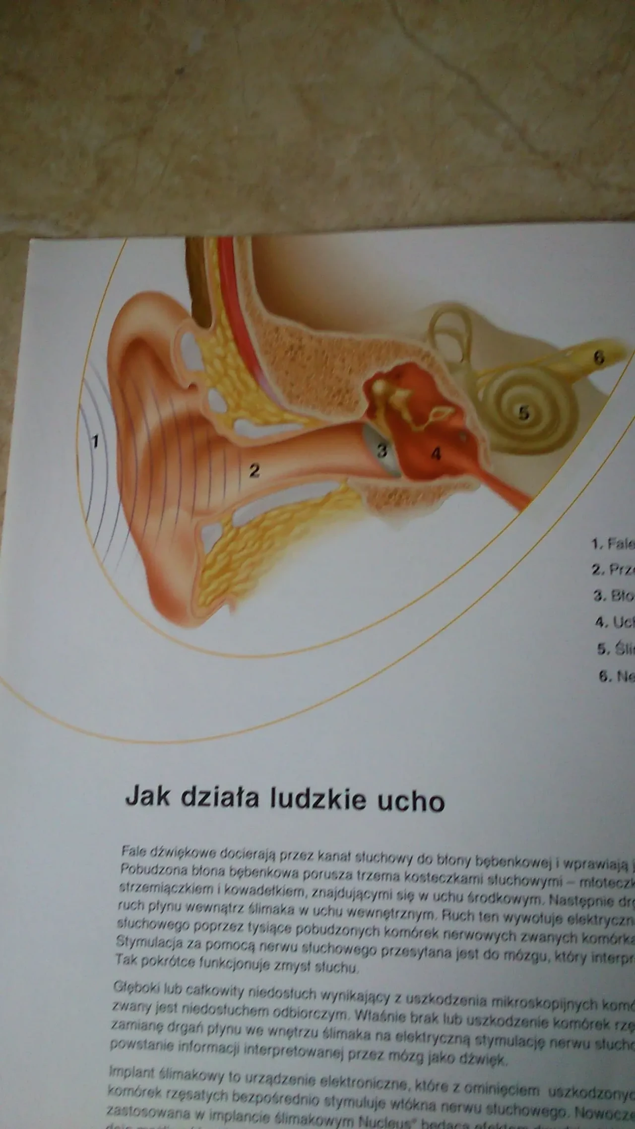 медична література 5