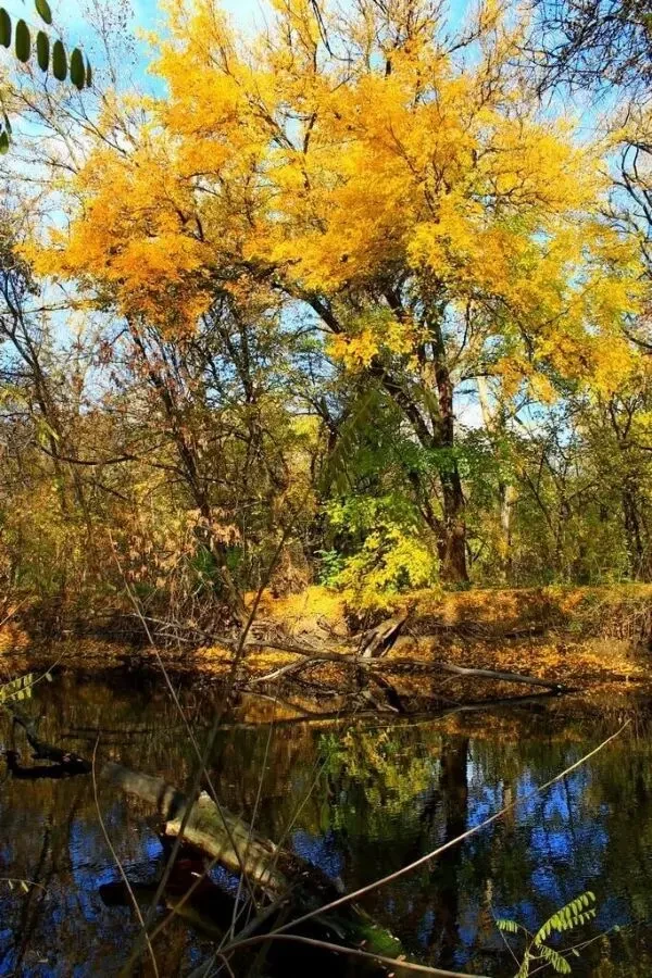 Продаётся земельный участок под застройку расположенный в с. Плюты 4
