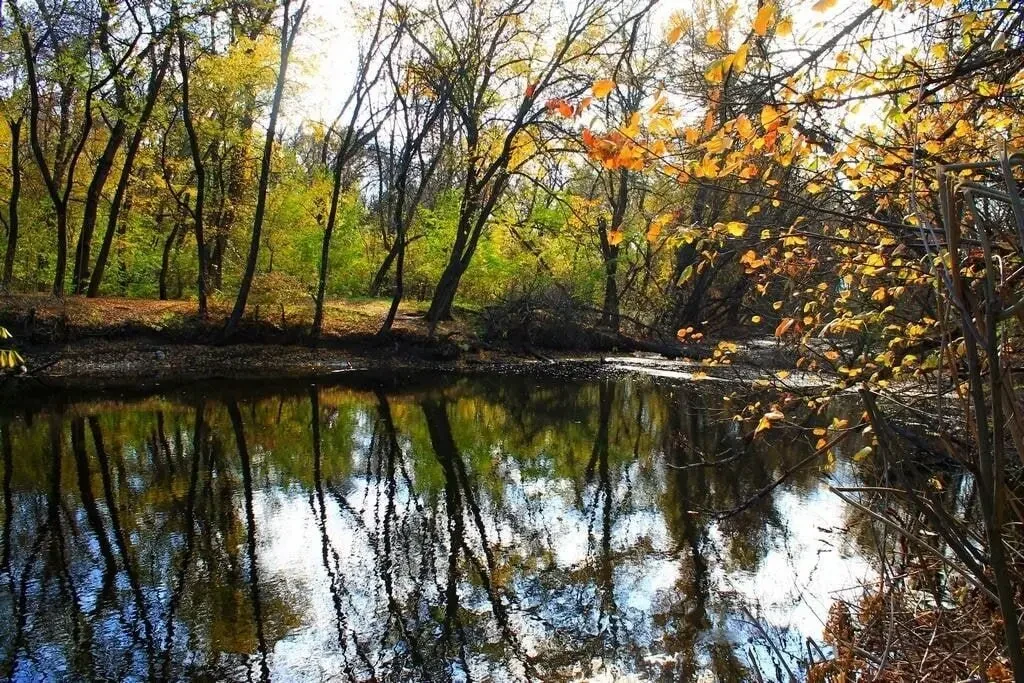 Продаётся земельный участок под застройку расположенный в с. Плюты 3