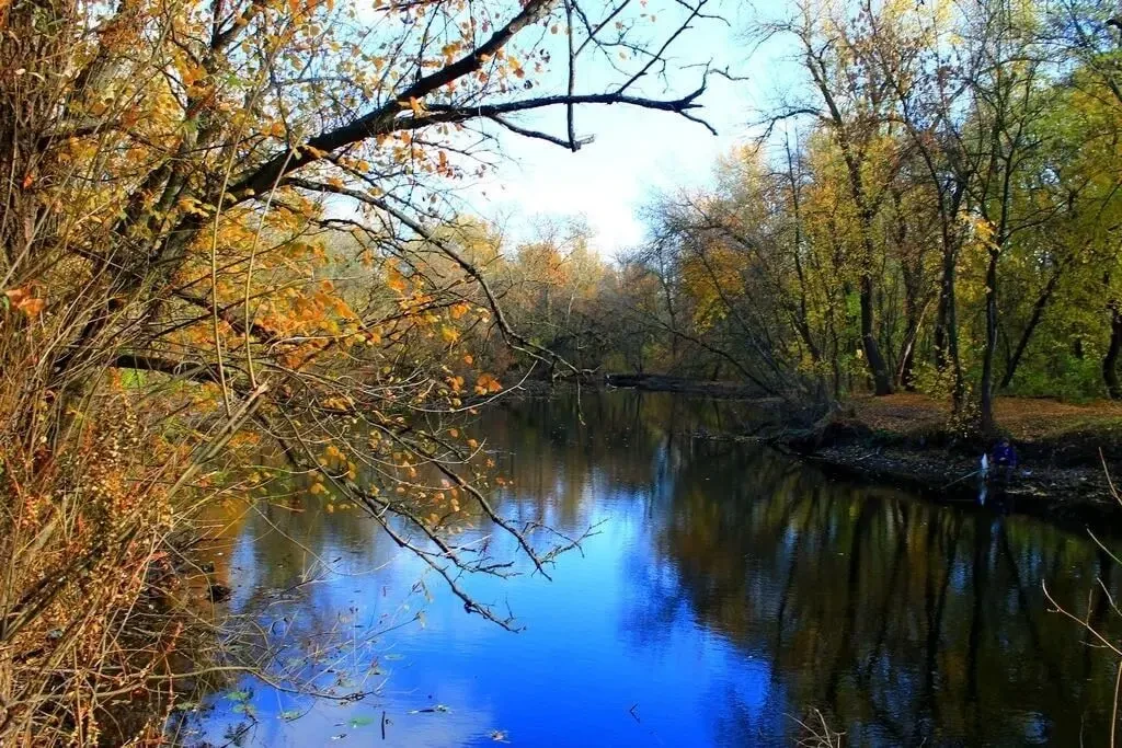 Продаётся земельный участок под застройку расположенный в с. Плюты 2