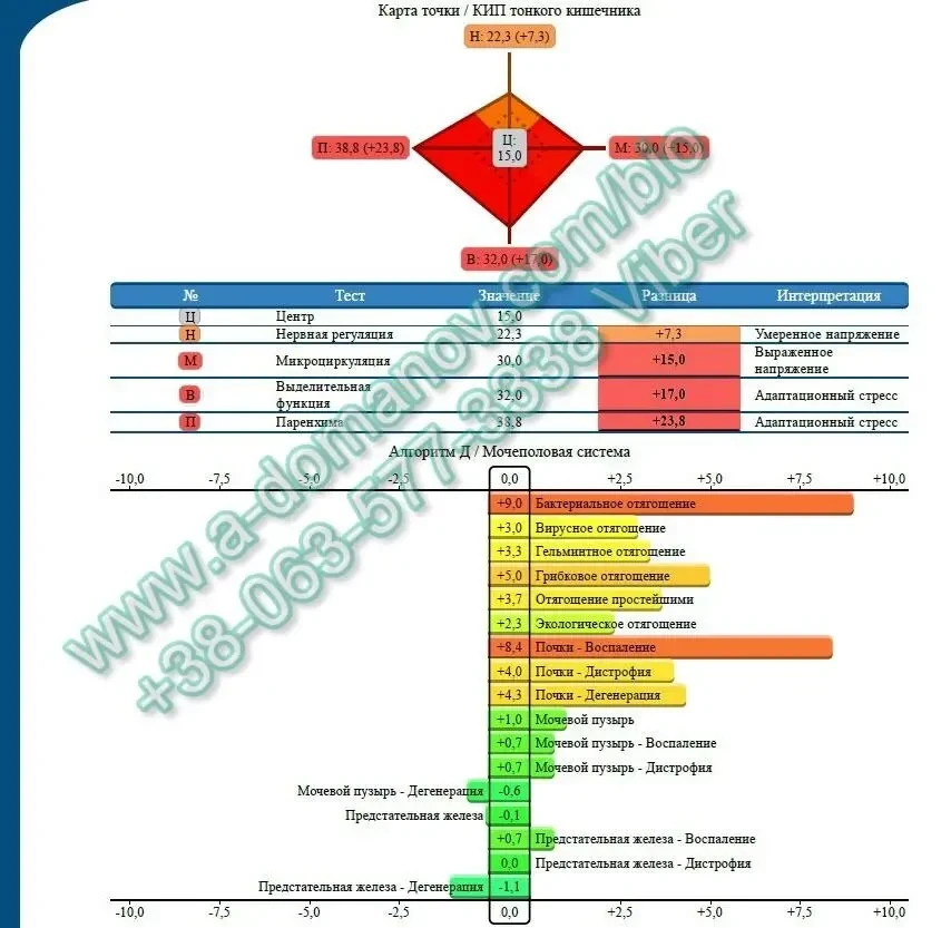 Диагностический прибор Parkes-D Реабилитолог для функционой диагност 7