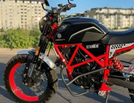 Защитные дуги для мотоцикла GEON Scrambler
