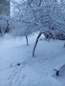 Копірайтер