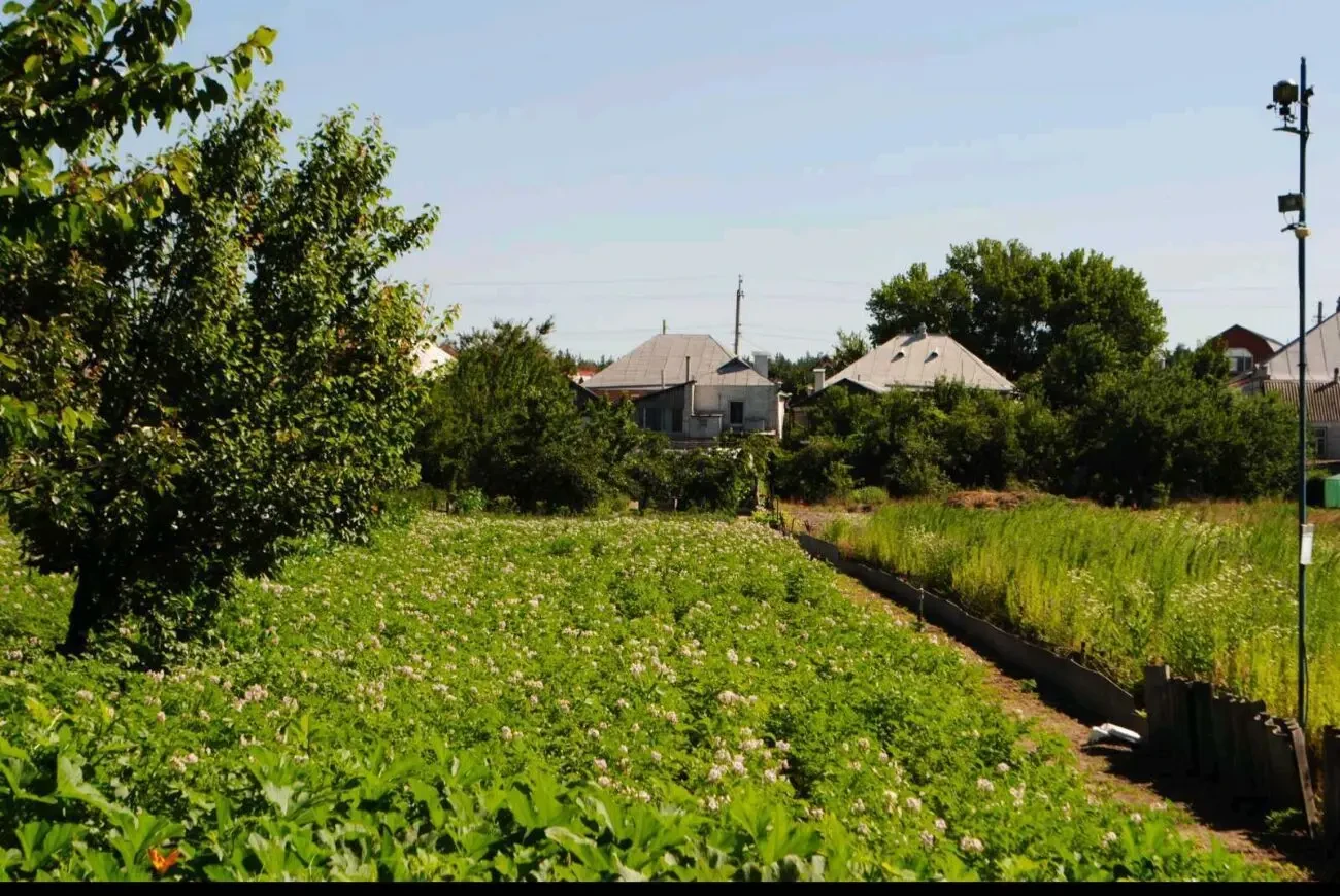 Васищево Дом по центральной улице