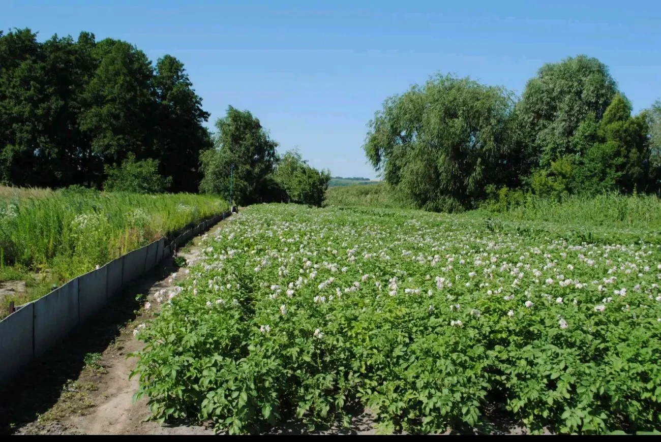 Васищево Дом по центральной улице 8