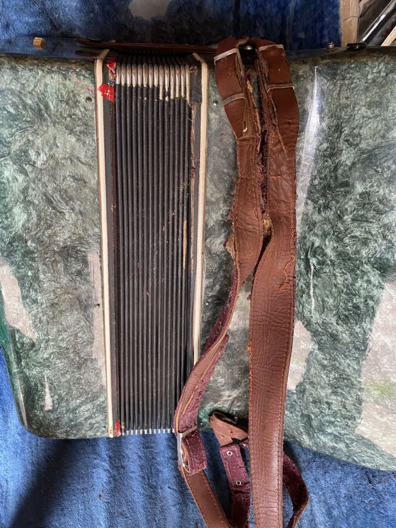 Аккордеон 5