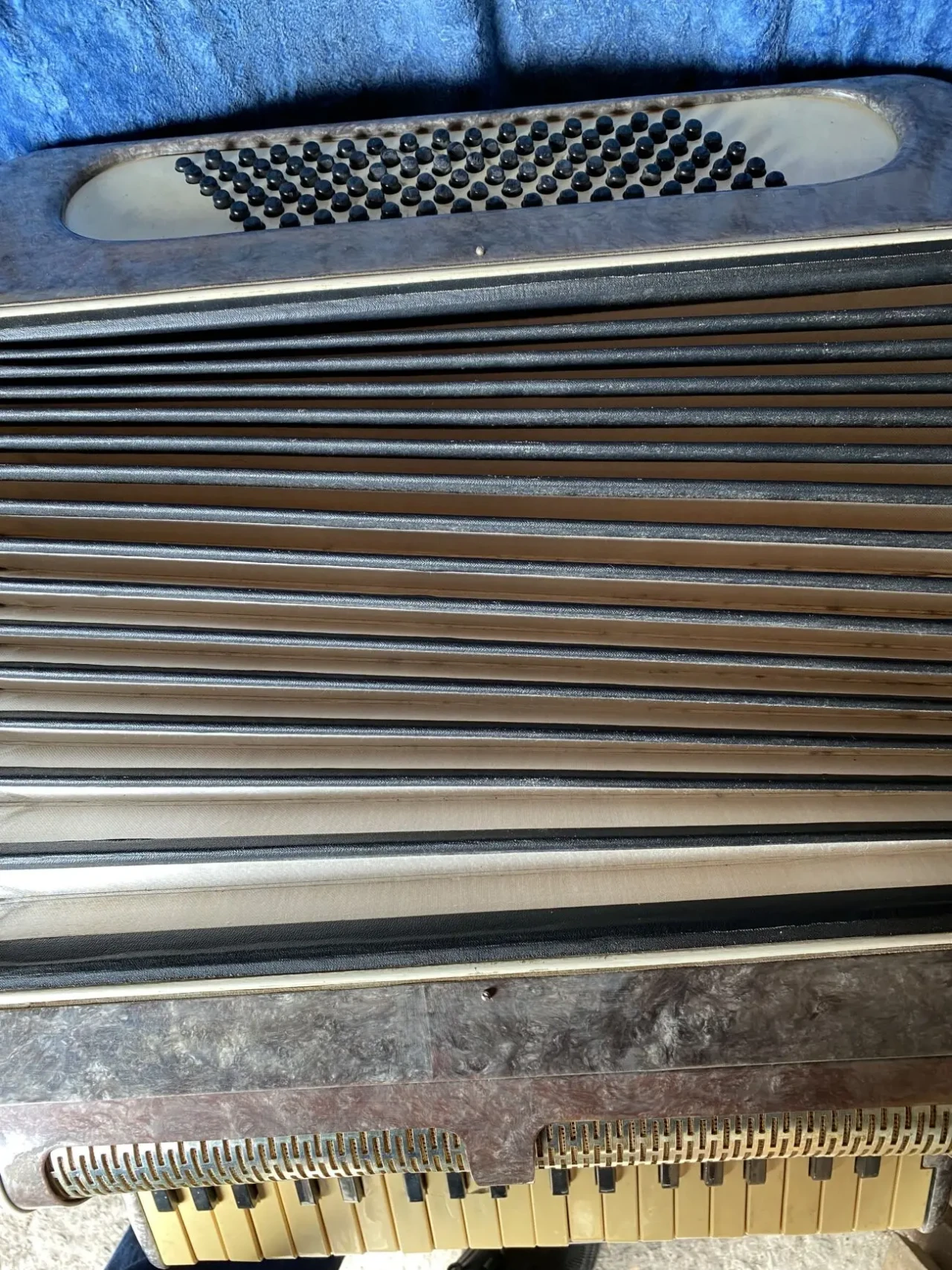 Аккордеон 7