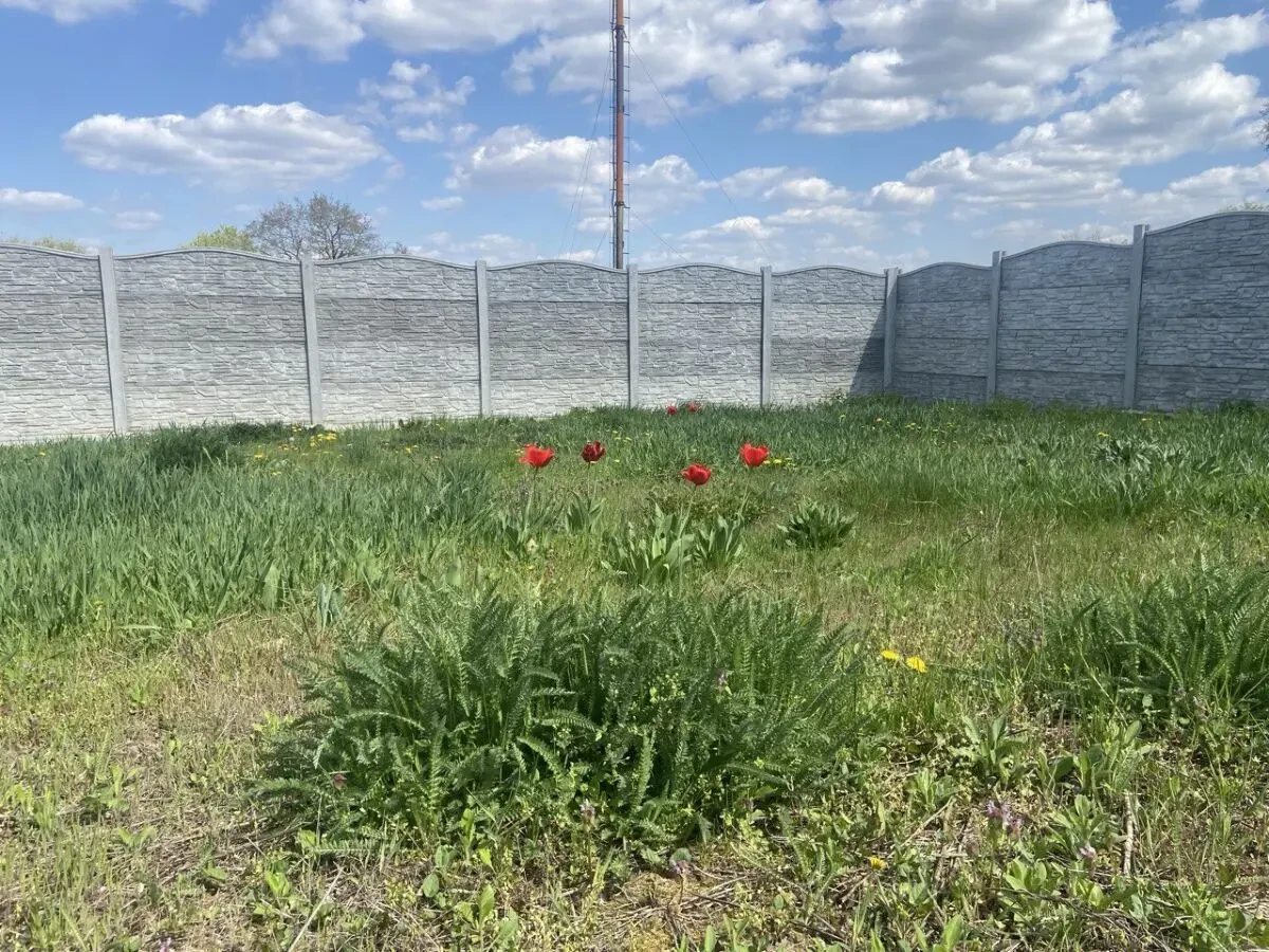 Продаю земельну ділянку 9