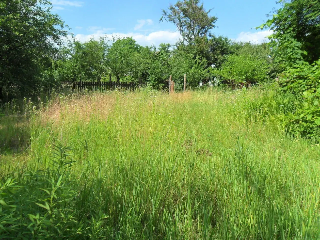 Продаётся дачный участок 2