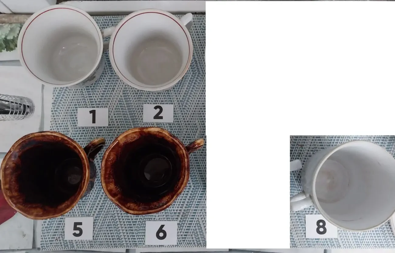 Чашки чайные Блюдца б/у поштучно 6