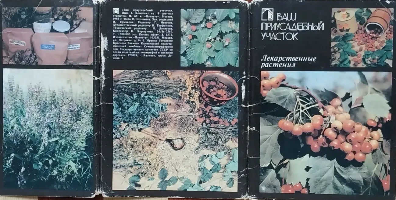 Открытки ссср Листівки Киев Харьков Города Живопись разное 6