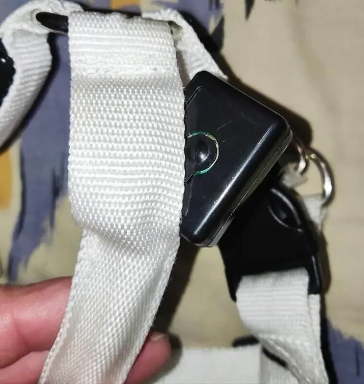 Шлейка с подсветкой для небольшой собаки 7