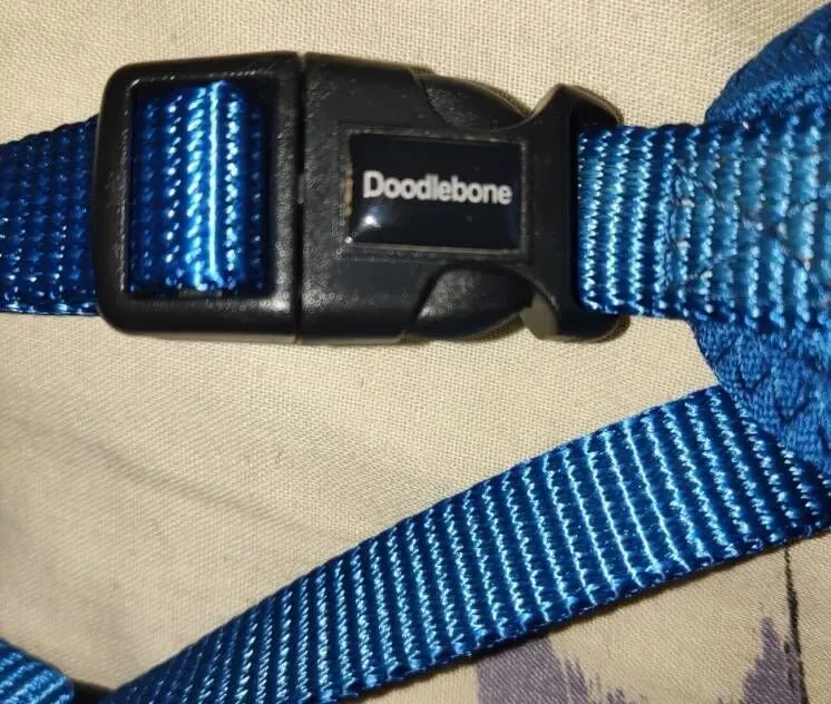Шлейка Doodlebone, на небольшую собаку 7