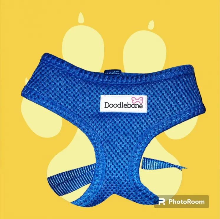 Шлейка Doodlebone, на небольшую собаку