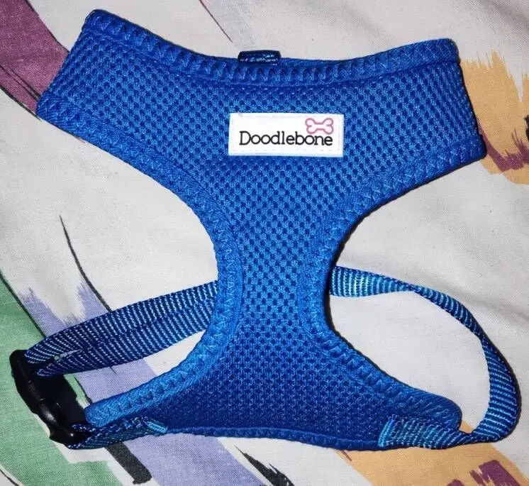 Шлейка Doodlebone, на небольшую собаку 4