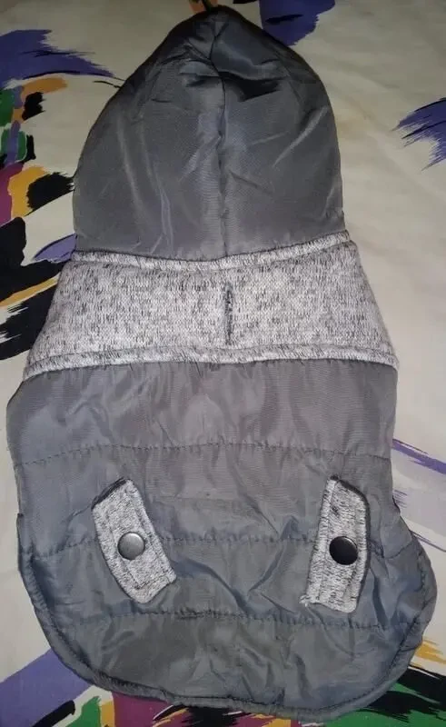 Зимняя попона с капюшоном для маленькой собаки 2