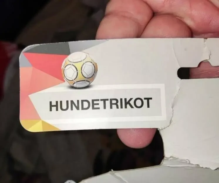 Попона-футболка Cermany 2018 для собаки 4