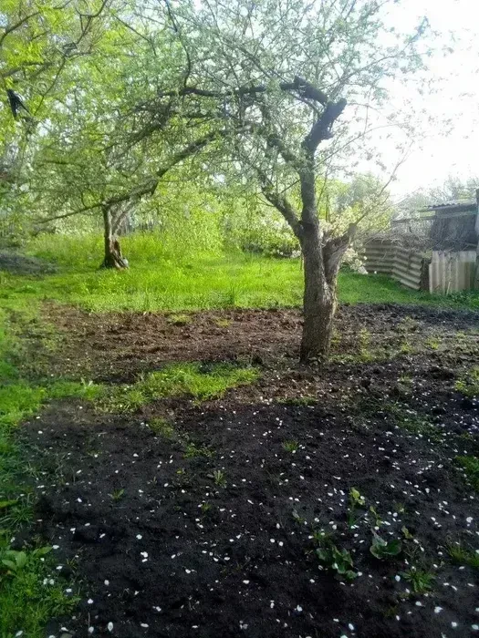 Диёвка1. Продам дом 120 кв м 2