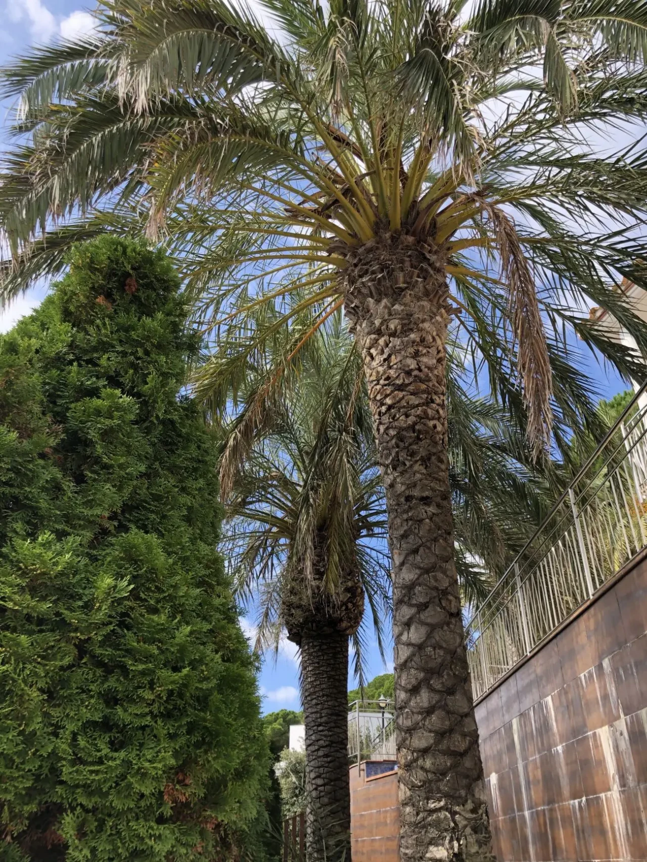 Аренда віли у моря на Коста Брава Іспанія 3