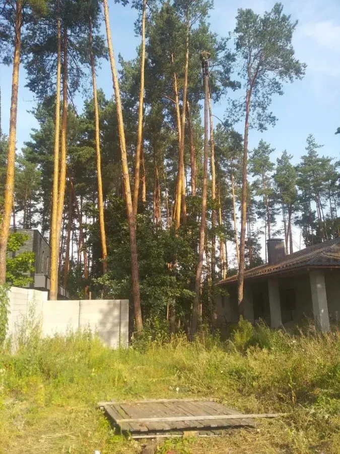 Спил, обріз та кронування дерев, чистка територій 2