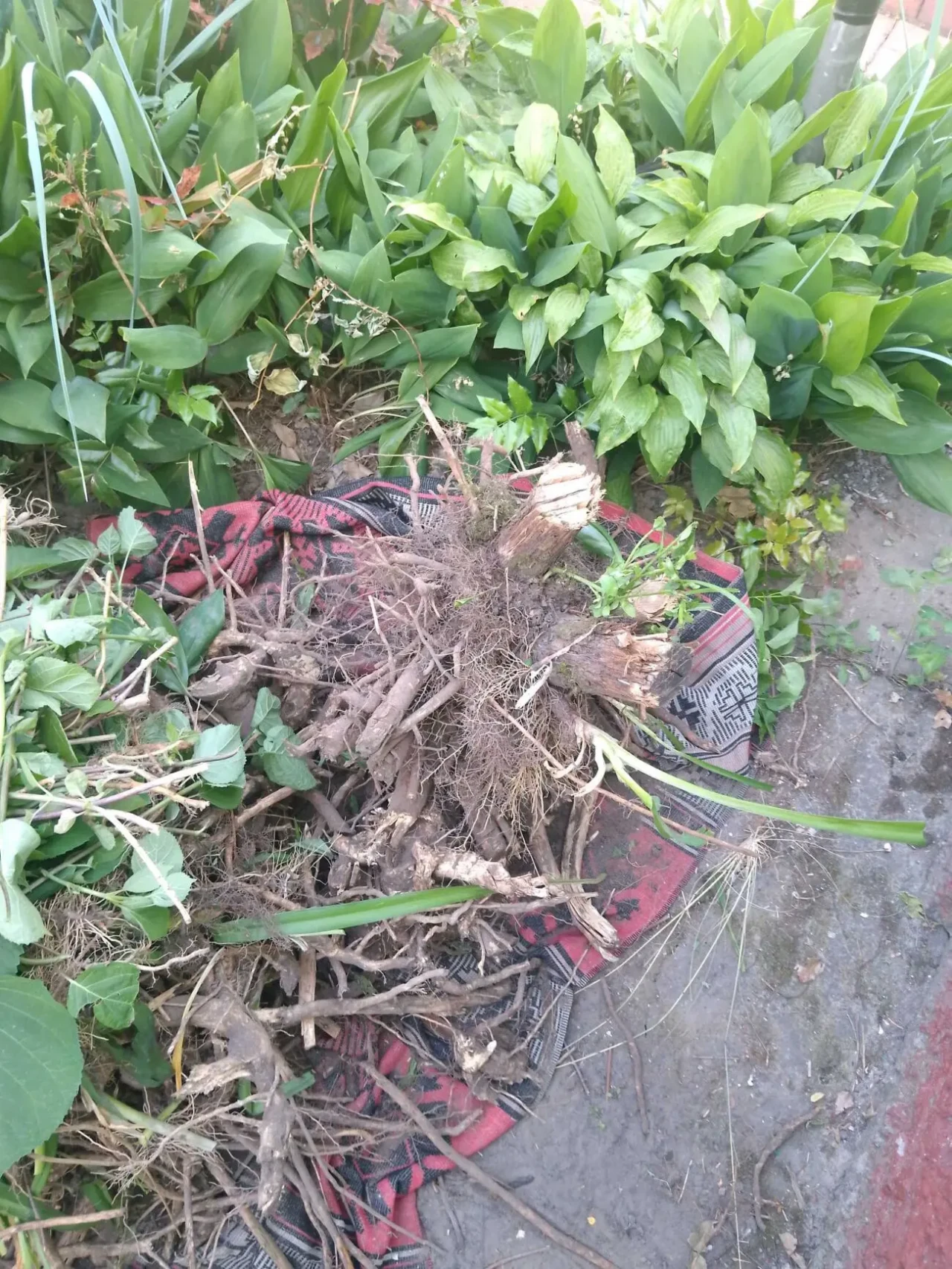 Земельные работы, уборка территории,и др. 2