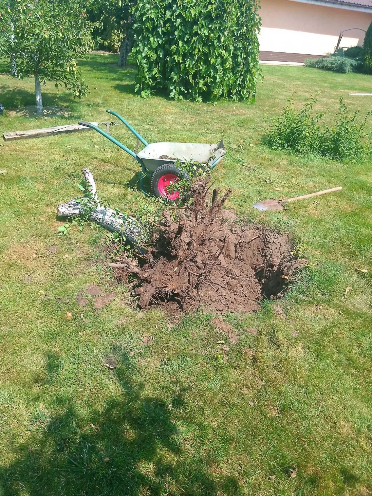 Земельные работы, уборка территории,и др. 8