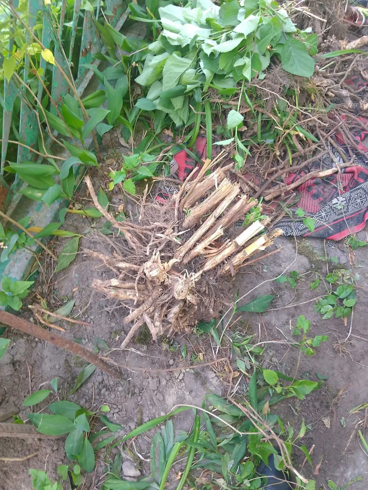 Земельные работы, уборка территории,и др. 3