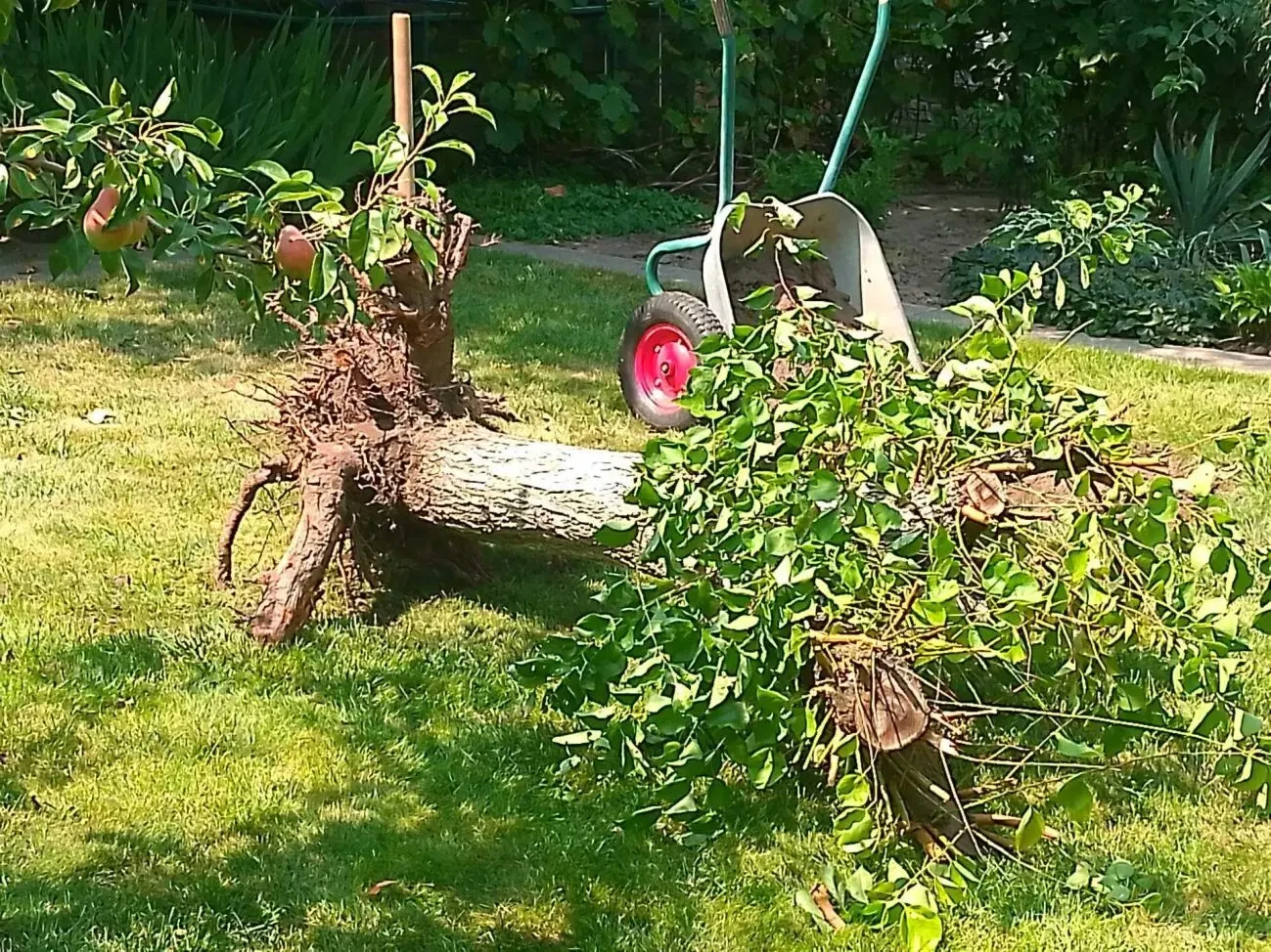 Земельные работы, уборка территории,и др. 7