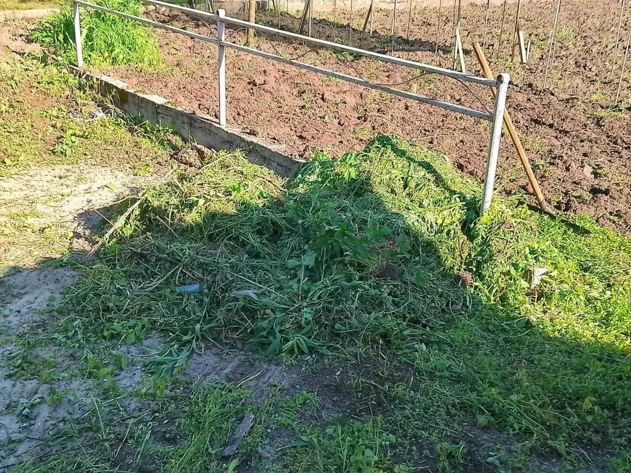 Земельные работы, уборка территории,и др. 4