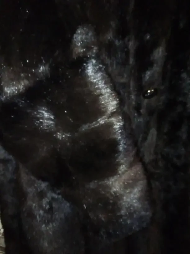 Шуба норкова. 4