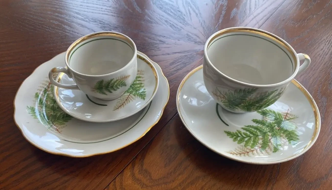 Сервиз чайно-кофейный Папоротник 33 предмета Дулево 6