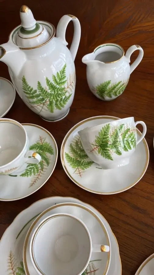 Сервиз чайно-кофейный Папоротник 33 предмета Дулево 9