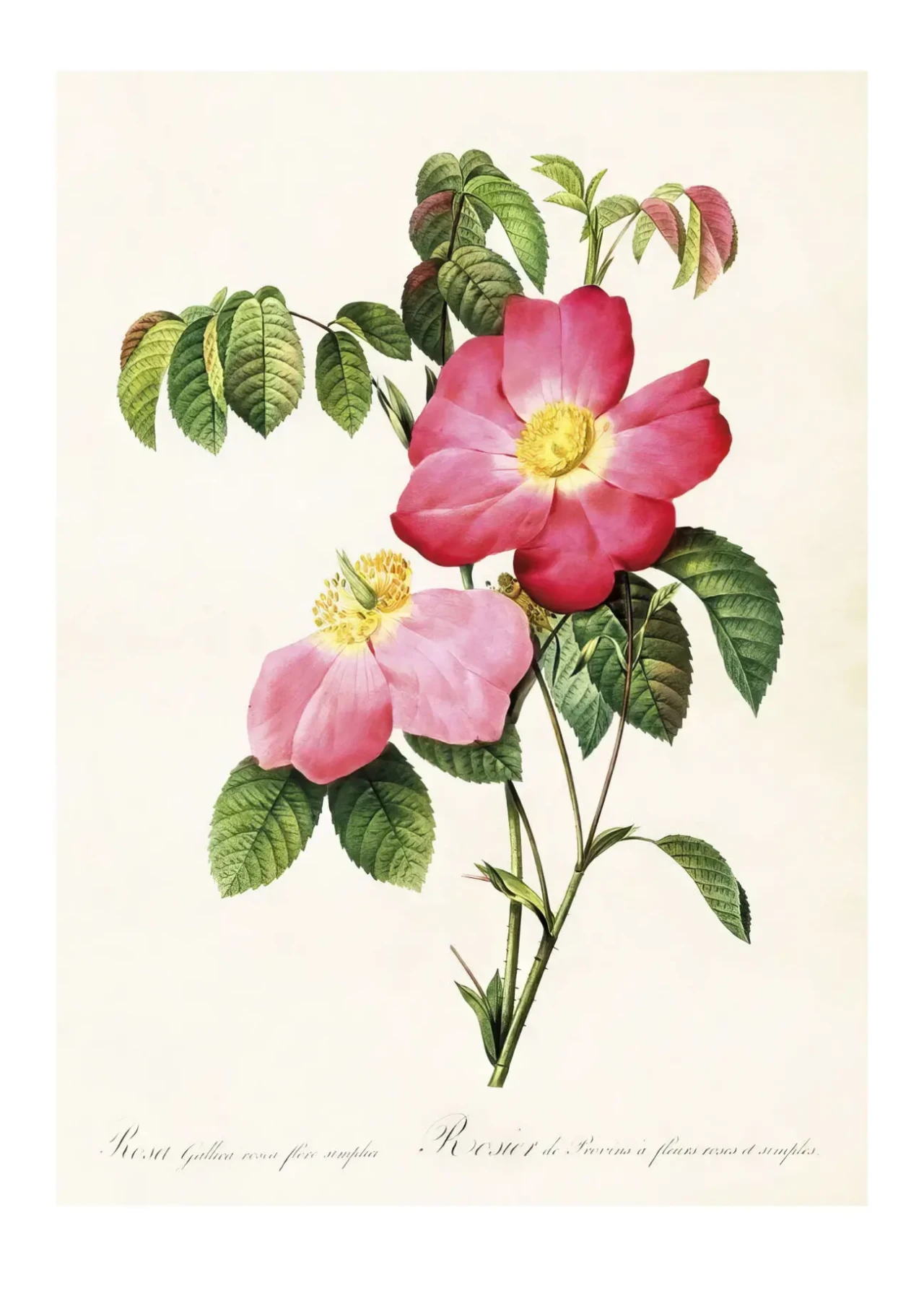 Красивые цветочные репродукции в интерьер 7