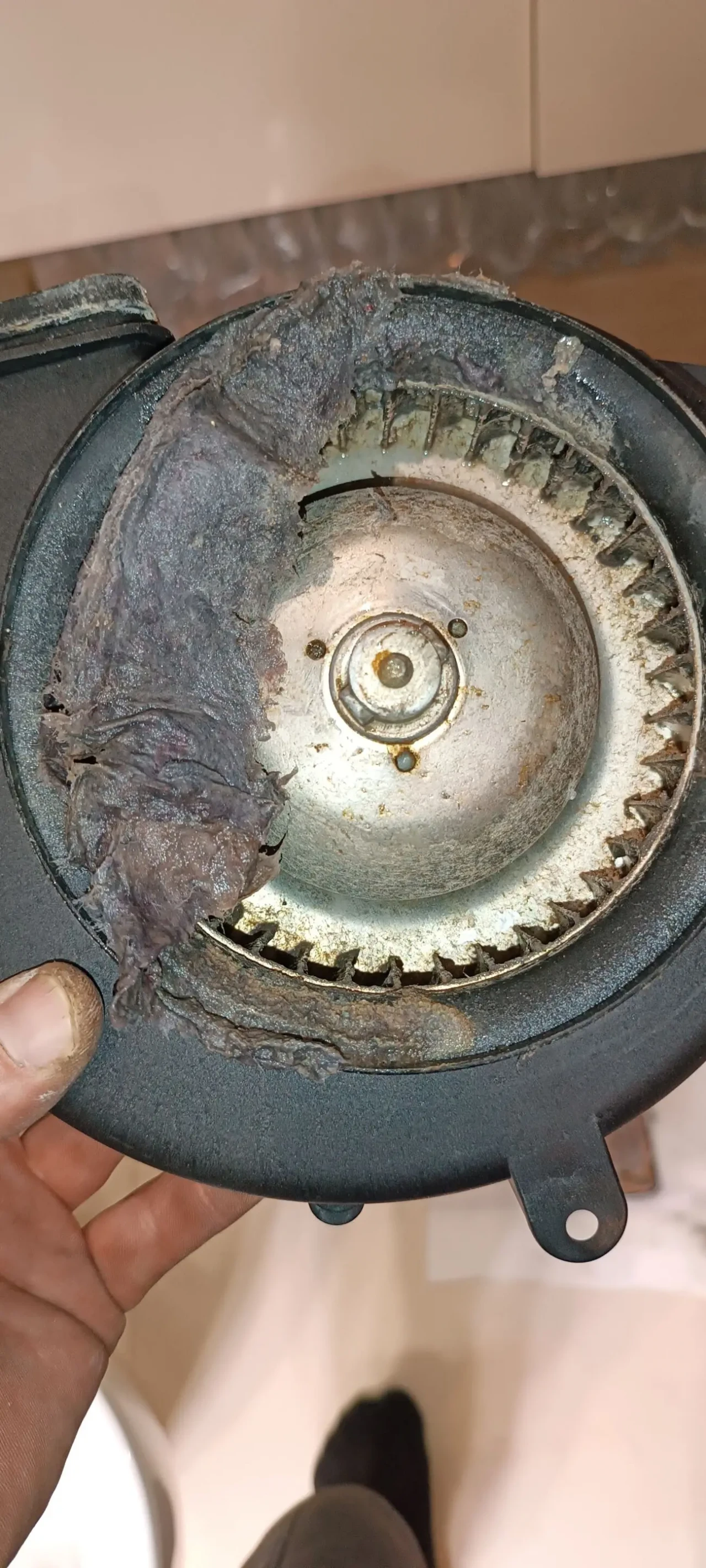 ремонт пральних/посудомийних/сушильних машин 5