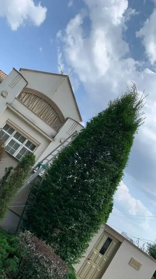 Услуга садовника. Комплексный уход за садом. 5