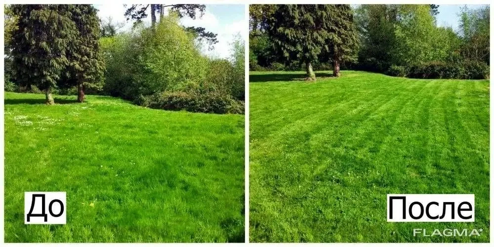 Услуга садовника. Комплексный уход за садом. 3