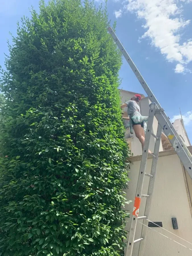 Услуга садовника. Комплексный уход за садом. 4