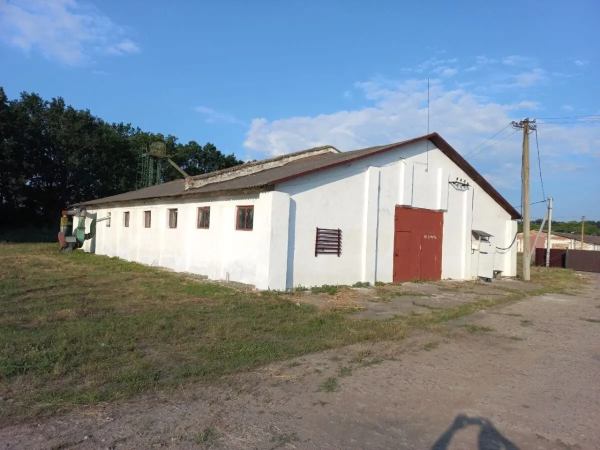 Продається високоприбутковий діючий елеваторний комбінат 4