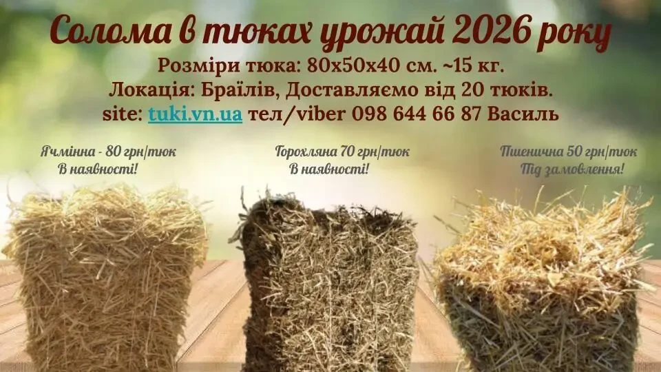 Тюки Соломи солома в тюках пшенична ячмінна вівсяна 2