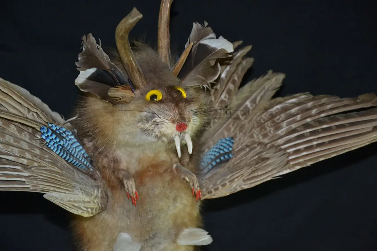 Вольпертингер (Wolpertinger) 2