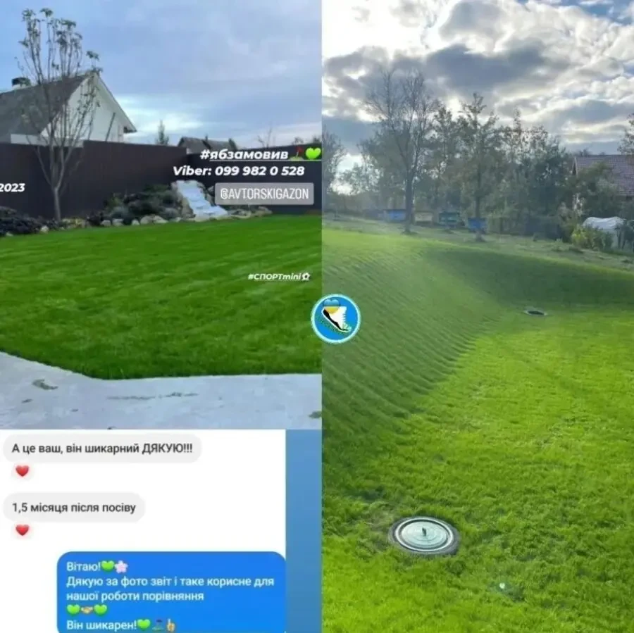 Газонний комплекс  Спорт mini 5кг газон-ліліпут та газонні добрива 1кг 2