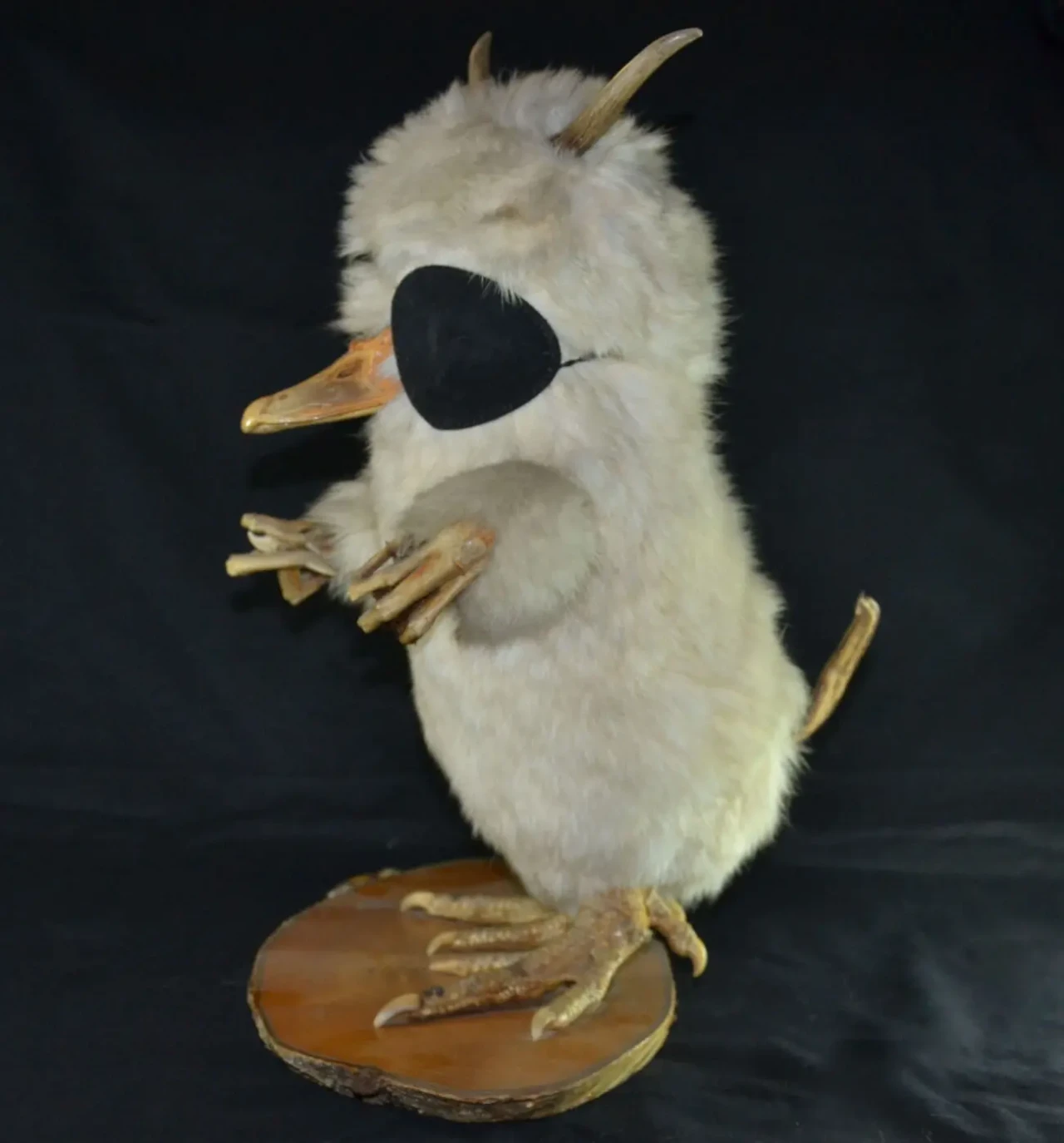 Вольпертингер (Wolpertinger) 2