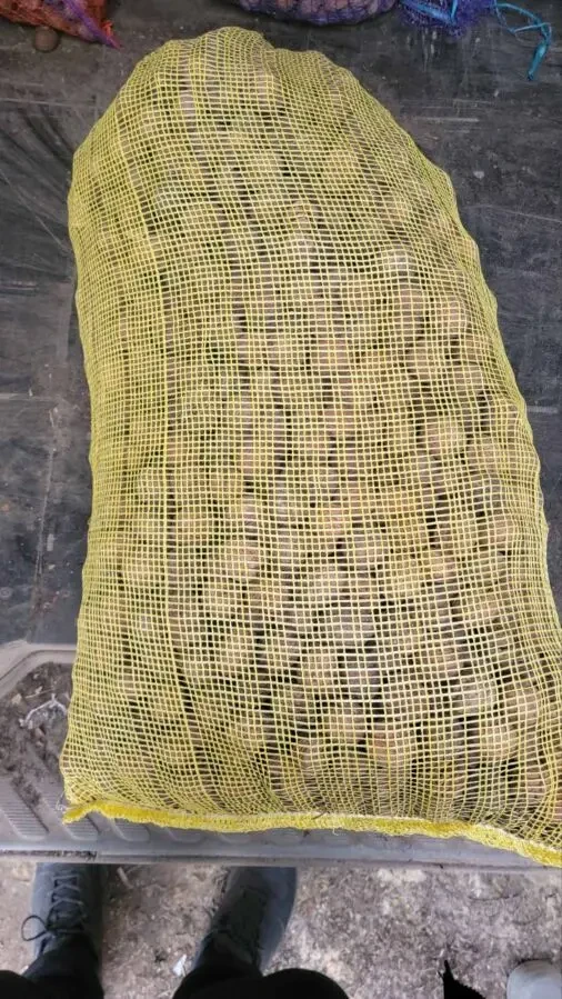 Сітка під горіх на 25 кг (50х100) 7