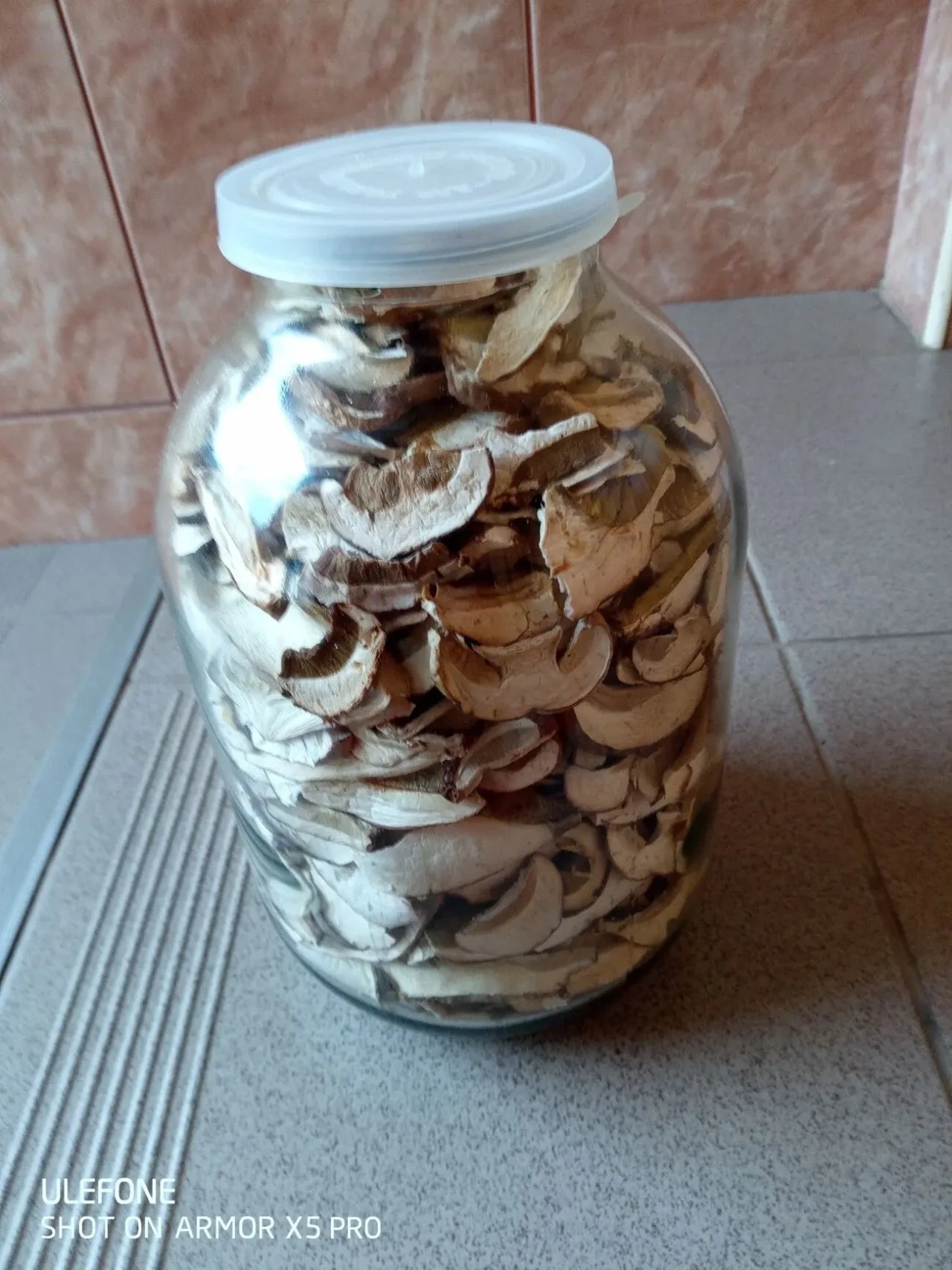 Гриби білі, сухі, Закарпатська обл 3