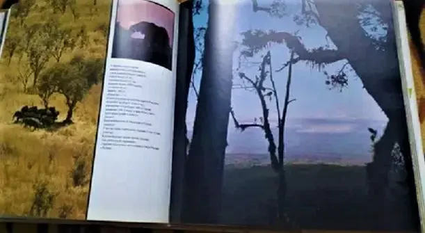 Й. Вагнер, н. Шнейдерова. Царь зверей не лев. новая. Братислава,1984 г 6