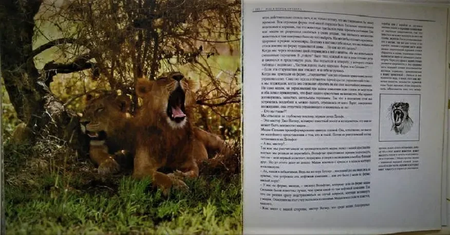 Й. Вагнер, н. Шнейдерова. Царь зверей не лев. новая. Братислава,1984 г 5