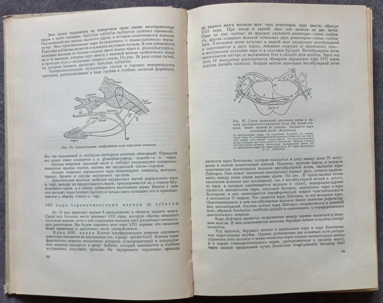 Нервные болезни. Е. К. Сепп, М. Б. Цукер, Е. В. Шмидт 4