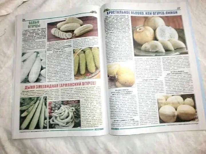 Журнал Выращиваем огурцы. р.а. Соломонова 5